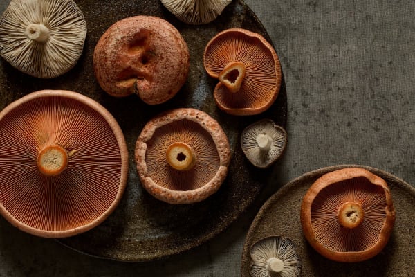 Force of Nature Food Co mushrooms